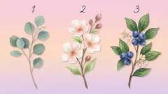 Test osobnostního typu: vaše volba odhaluje vaši sebedůvěru