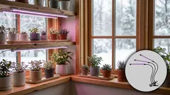 Jak vybrat pěstební světla: praktický průvodce pro sazenice, bylinky i pokojovky