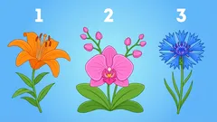 Test osobnosti: jací jste ve vztazích s lidmi