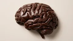 Tajemství dlouhověkosti a vitality: Co se změní, když přidáte tento jediný produkt